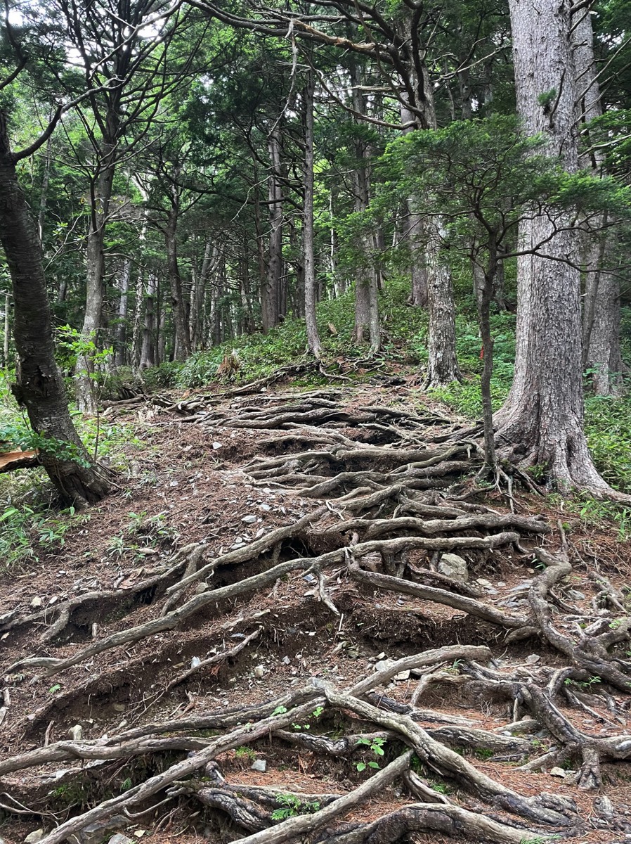 Stacks Image 80