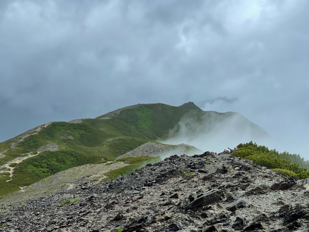 Stacks Image 76