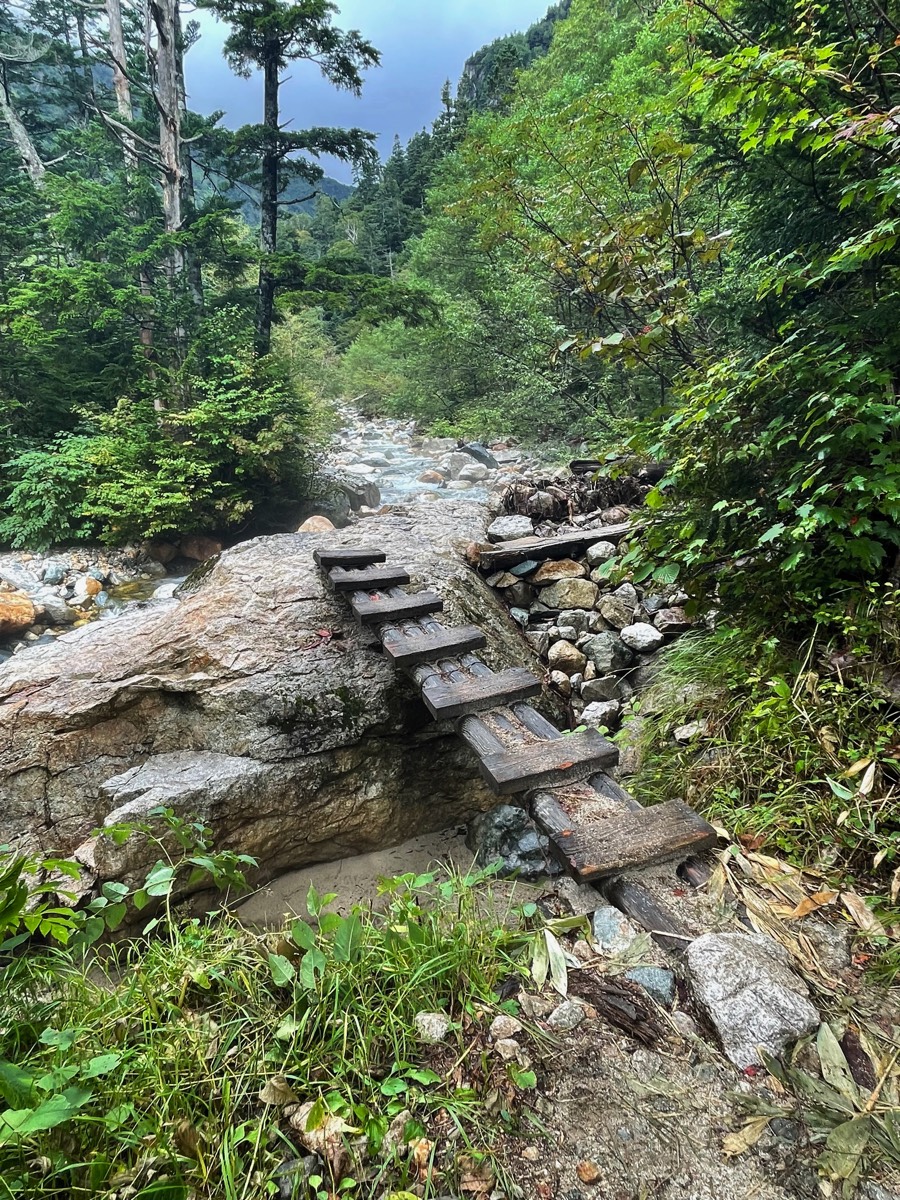 Stacks Image 87