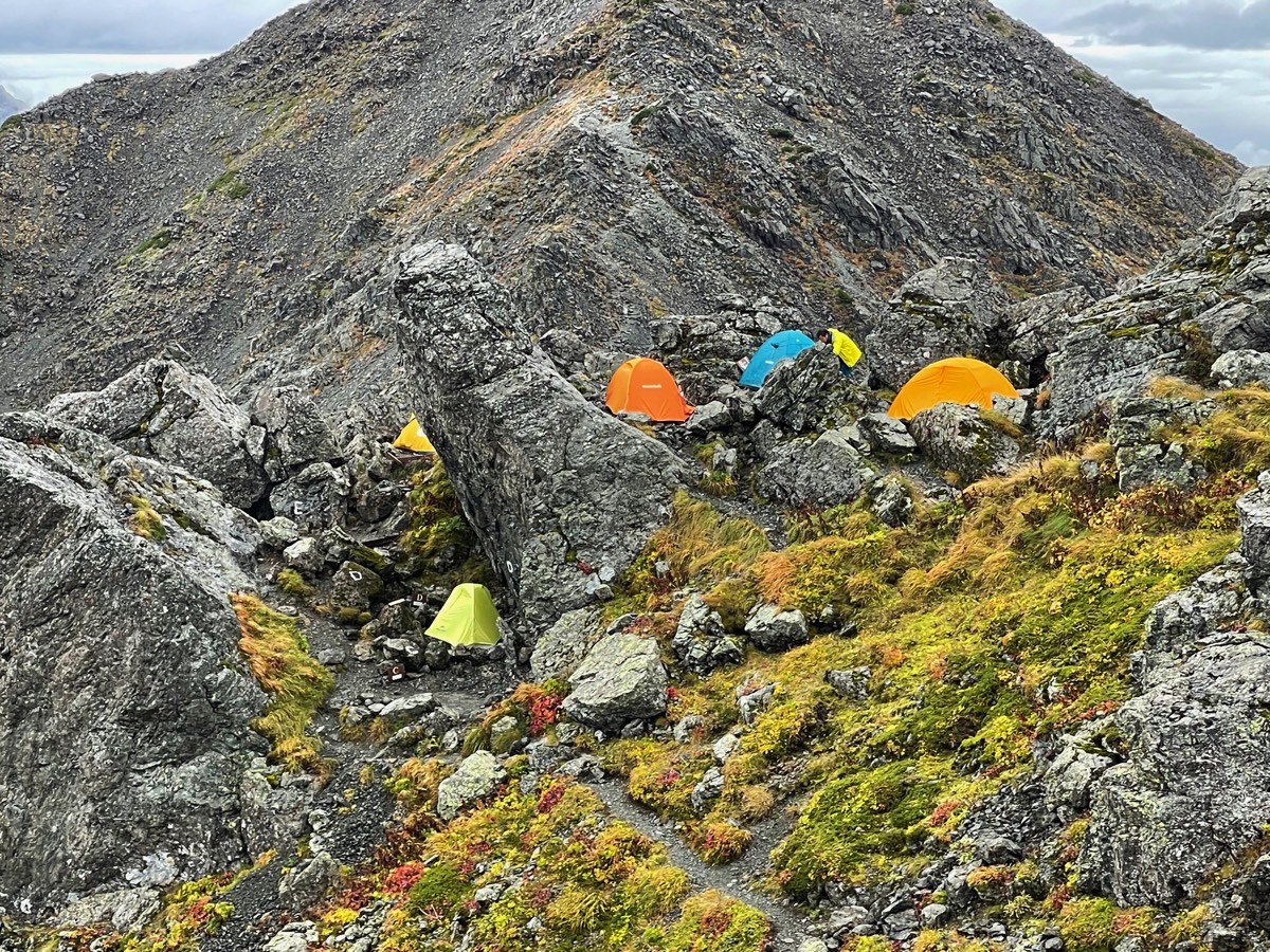 Stacks Image 81