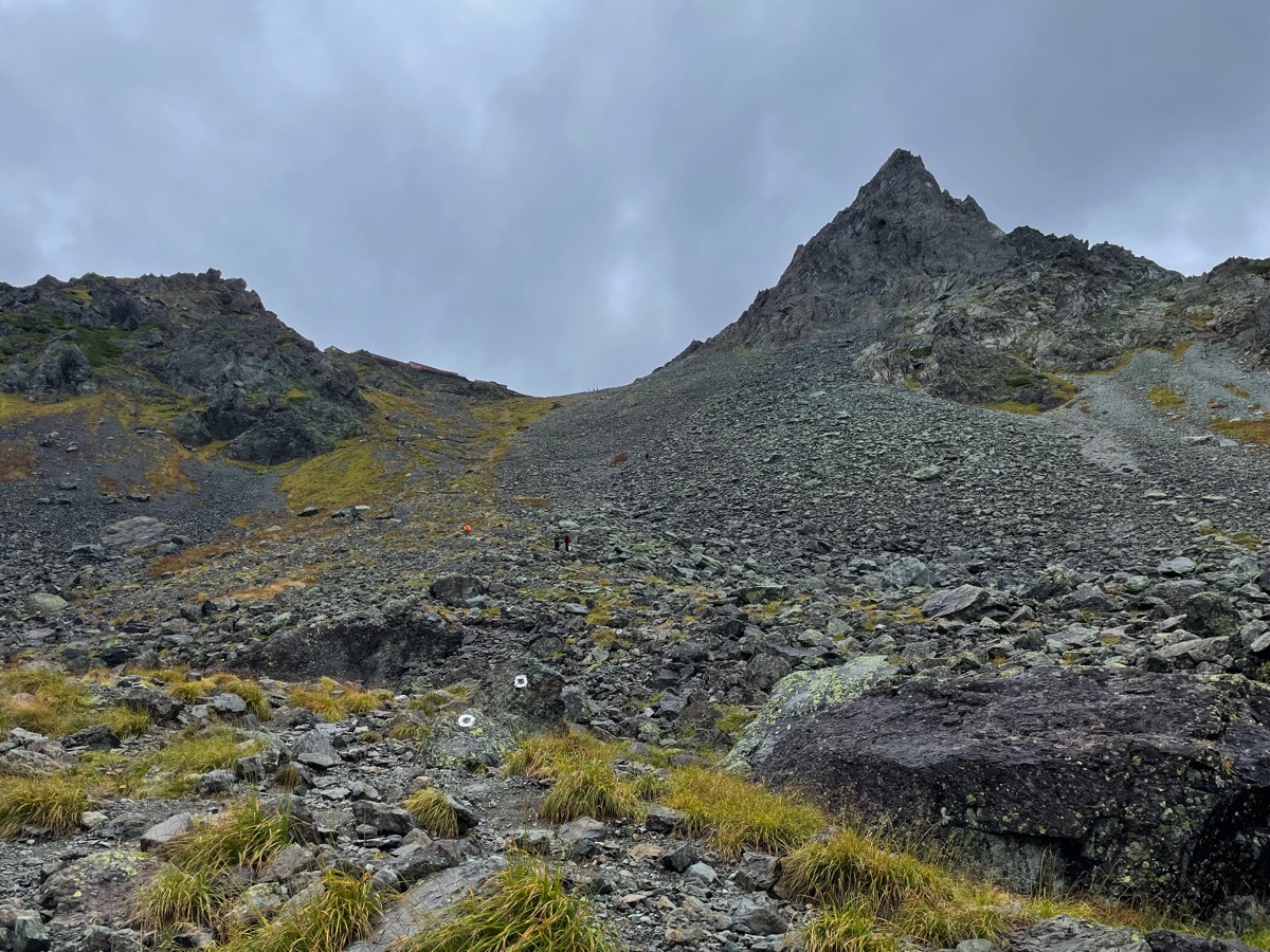 Stacks Image 83