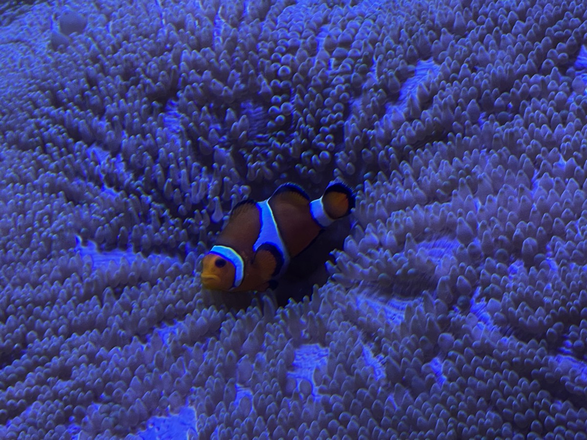 Stacks Image 121