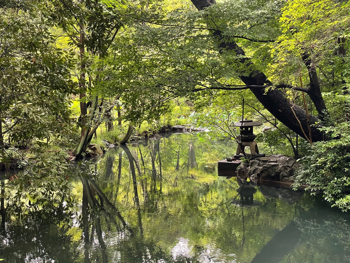 Stacks Image 93