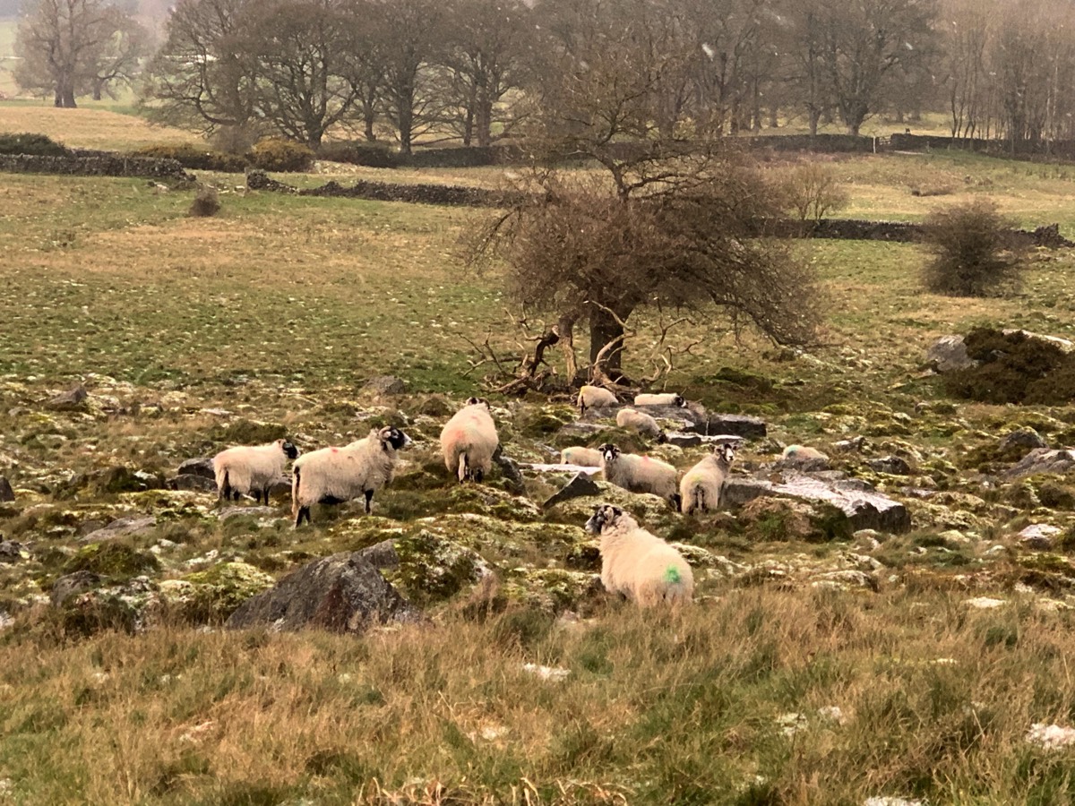 Stacks Image 75
