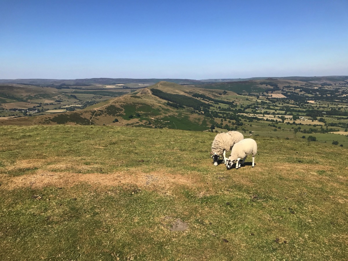 Stacks Image 15