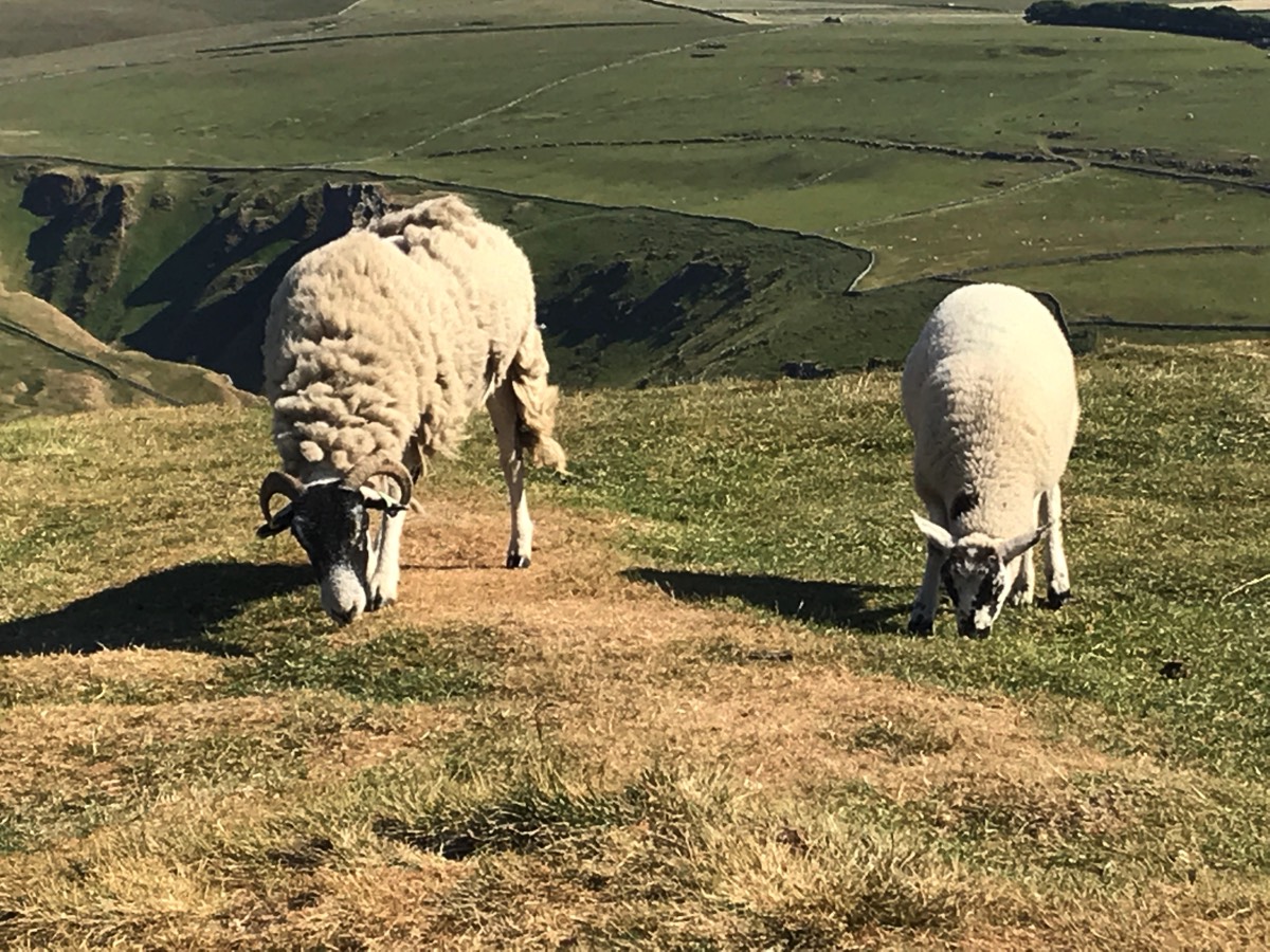 Stacks Image 17