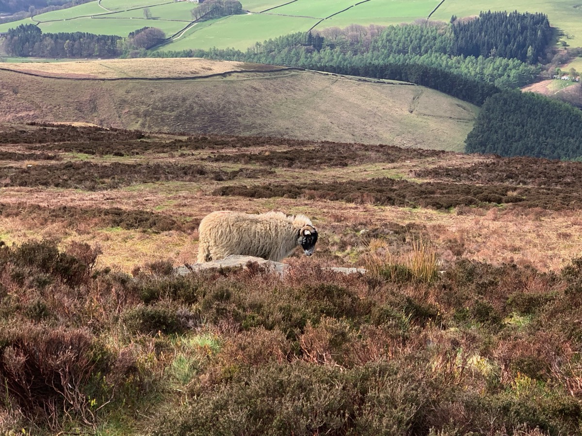 Stacks Image 65