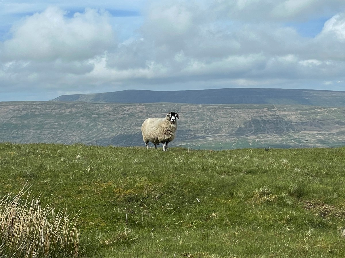 Stacks Image 99
